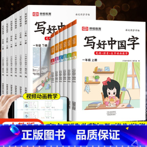 写好中国字[上册+下册] 小学五年级 [正版]抖音同款2023秋写好中国字一年级二年级三四五六年级上下册语文同步练字帖人