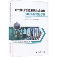 油气输送管道系统生命周期风险防控对标手册