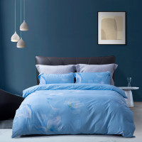 水星家纺 全涤-磨毛四件套DH锦瑟未央-S04(抗菌)200cmx230cm/gd/套