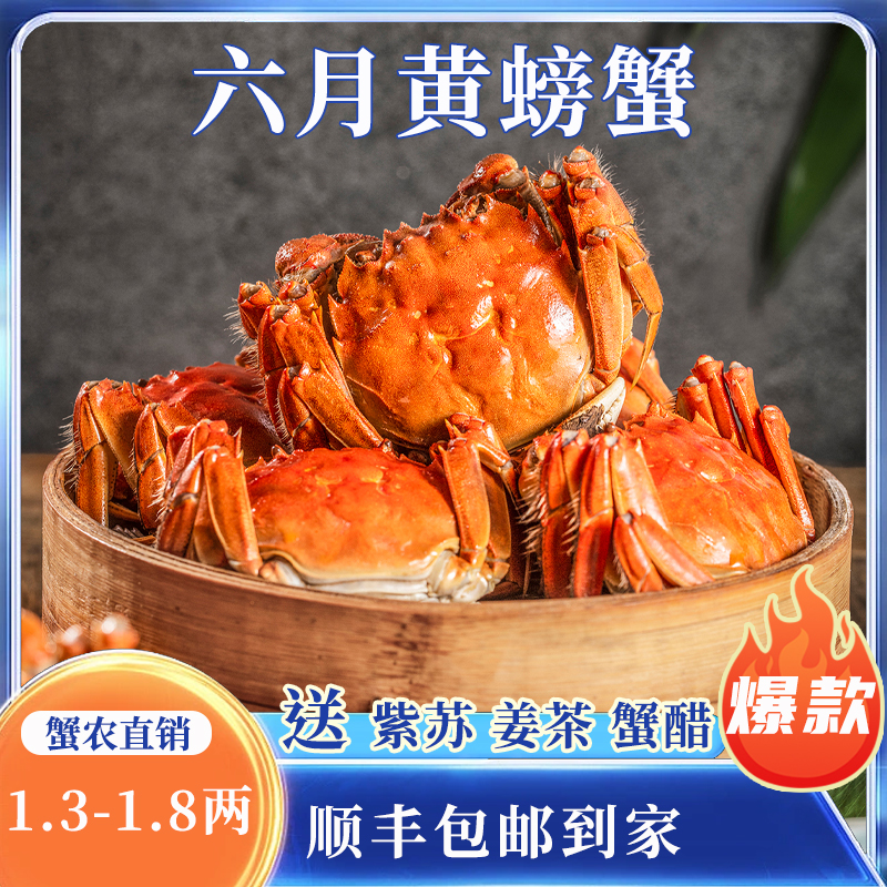 苏州大闸蟹蟹灵阁鲜活六月黄大闸蟹2两8只装公母随机大螃蟹鲜甜满黄直达到家死蟹包赔