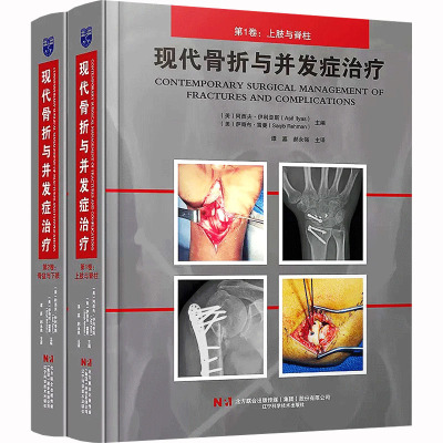 现代骨折与并发症治疗