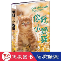 正版新书]你好,小野猫(美)安德鲁·布卢姆菲尔德9787515825779