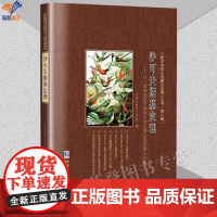 新书沙可夫斯基定理从一道韩国数学奥林匹克竞赛试题的解法谈起正版数学专业学生教师相关领域研究人员数学爱好者参考阅读书