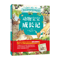 音像动物宝宝成长记(比)蕾妮·哈伊尔 绘著;张原平 译