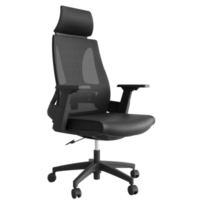 臻远 ZY-BGY-16 办公椅转椅人体工学椅电脑椅会议椅办公椅子学习椅 (黑色)
