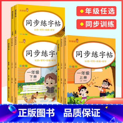 [语文]同步练字帖 五年级上 [正版]2024春小学英语同步练字帖三年级四年级五年级六年级上册下册英语字帖小学生人教版小