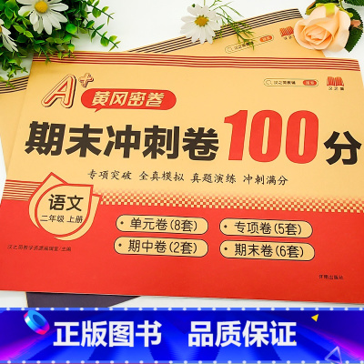 语文+数学·人教版-2本套 二年级上 [正版]2024期末冲刺一百分人教版100分小学二年级上册语文数学单元期中总复习专