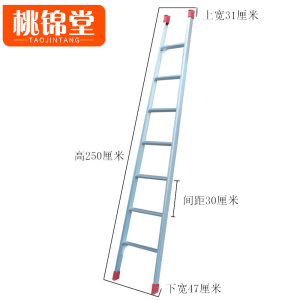 桃锦堂直梯