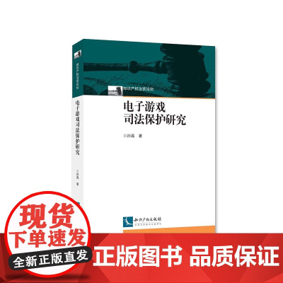 电子游戏司法保护研究 孙磊 9787513053822 知识产权出版社