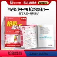 语文 小学升初中 [正版]2024抢跑新初一 小升初语文 古诗文现代文必刷题人教版RJ小升初暑假衔接预复习预备新