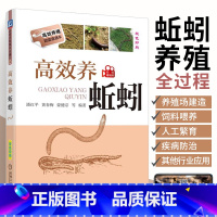 [正版]高效养蚯蚓 潘红平 蚯蚓养殖技术书籍 饲养管理 养殖场的建造 养蚯蚓的书 病敌虫害防治 地龙 科学饲养教程一本