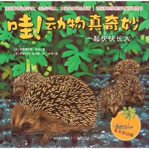 正版新书]哇!动物真奇妙?一起快快长大/动物真奇妙(法)弗雷德里
