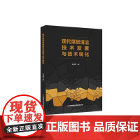 现代煤炭清洁技术发展与技术转化 李晨雨 著 轻工业/手工业专业科技 正版图书籍 中国财富出版社