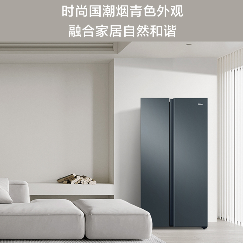 Haier海尔616升对开门冰箱家用大容量双变频净味抗菌一级能效风冷无霜双开门电冰箱BCD-616WGHSSEDC9