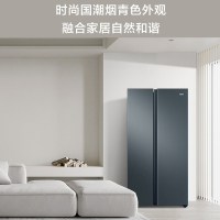 Haier海尔616升对开门冰箱家用大容量双变频净味抗菌一级能效风冷无霜双开门电冰箱BCD-616WGHSSEDC9