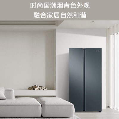 Haier海尔616升对开门冰箱家用大容量双变频净味抗菌一级能效风冷无霜双开门电冰箱BCD-616WGHSSEDC9