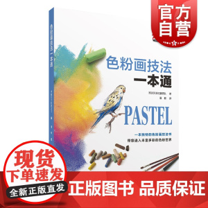 色粉画技法一本通 风海景人物肖像人体动物色粉画绘画技法教学造型色彩理论材料详解基础绘画实践步骤技法教程 上海人民美术出版