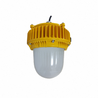 顶火 GMD8160 电压AC220V 功率30W IP66 防爆平台灯 计价单位:盏 黄色