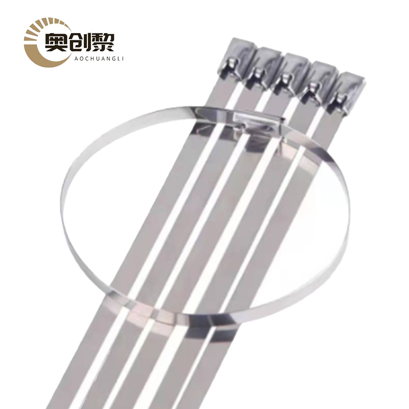 奥创黎 不锈钢自锁式扎带 12*100包