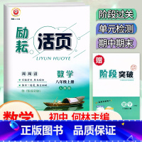 数学.人教版 八年级上 [正版]2024新版 励耘活页八8年级上册数学人教版考试卷 初二8年级上册数学同步试卷练习专题训