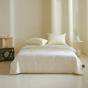 Z.M.N.(法国啄木鸟)沐光棉系列全棉冬被-兰特ZHB-0058