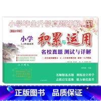 积累与运用 小学升初中 [正版]2023小升初小学毕业升学真题详解古诗词文言文阅读与理解积累与运用3-6三四五六年级小学