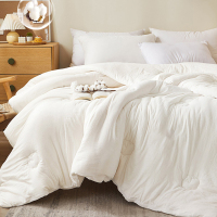 莱依瑾LYEEGIN 棉被 新疆棉 150*200cm3斤 张