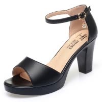 女士凉鞋年新款百搭夏鱼嘴一字扣防水台2026高跟鞋