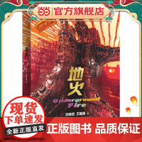 地火(全彩插图精装版)银河少年科幻名家通识启蒙系列 科幻名家刘慈欣 王晋康写给青少年的科技+人文素养提升书