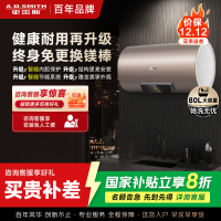 史密斯80升电热水器 国家补贴 专利免更换镁棒 金圭内胆 速热节能 CEWH-80ED3 一级能效