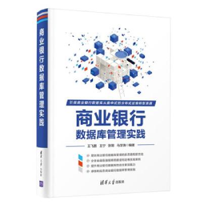 正版新书]商业银行数据库管理实践王飞鹏,王宁,张聪,马学涛 著97
