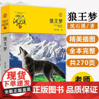 [正版]狼王梦沈石溪动物小说大王品藏书系正版童书三四五六年级小学生课外阅读书籍必读经典书目老师推 经典书 少年儿童出版社