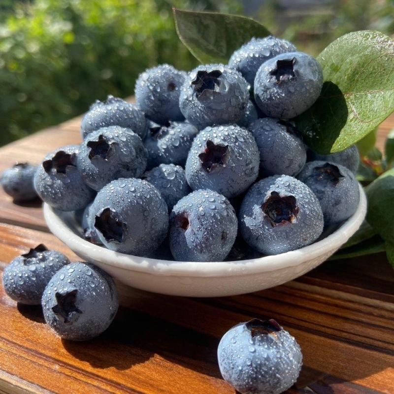 顺丰快递 [苏鲜生]云南花香蓝莓 6盒 单果15mm+ 125g/盒 新鲜水果当季蓝梅鲜果现摘水果