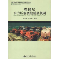 音像煤储层水力压裂裂缝延展机制王生维,陈立超等著