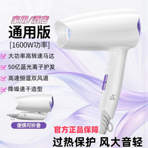 XIAOYA可折叠大功率吹风机学生宿舍酒店家用离子大风力高速电吹风