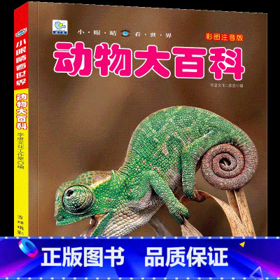 [任选3本39元]动物百科 [正版]飞机百科全书注音版图书儿童书籍科普航空大百科交通工具小百科绘本读物全套科学认知少儿3