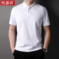 恒源祥高端短袖t恤男全纯棉夏季薄款半袖保罗男士体恤polo衫