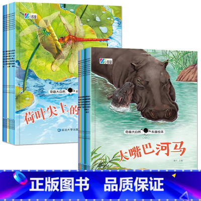 [16册]第一辑+第二辑 [正版]奇趣大自然科普儿童故事书3一6幼儿园阅读幼儿绘本4一6岁学前故事书儿童读物睡前故事书中