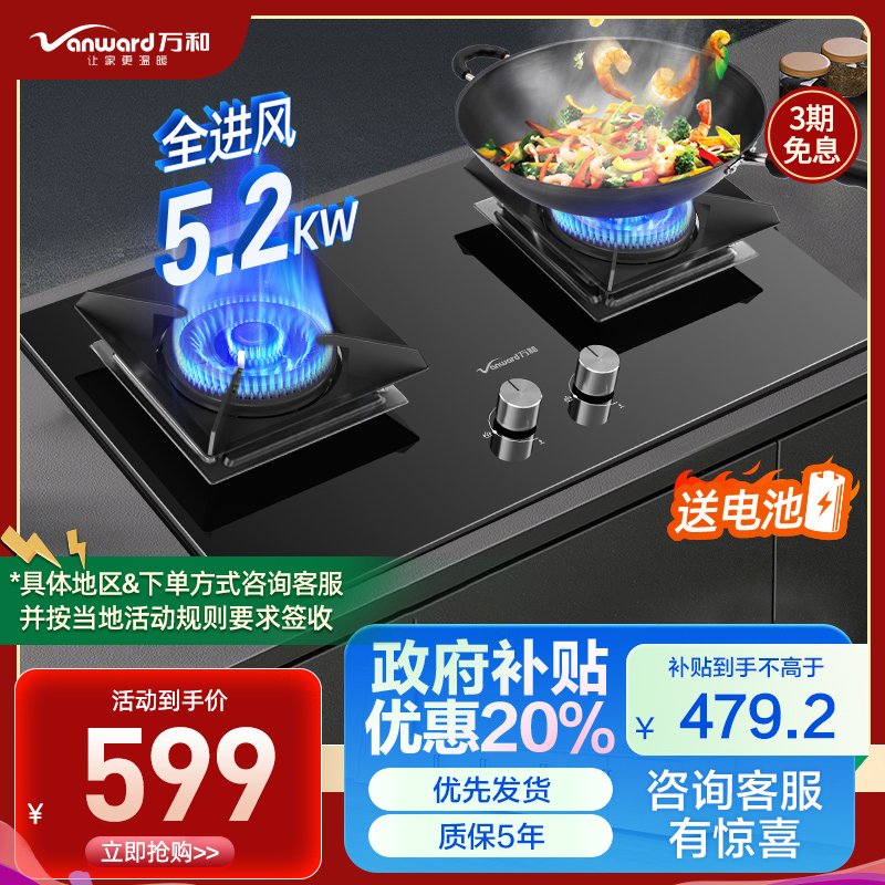 万和(Vanward) 一级能效 天然气双灶 双眼燃气灶 单灶具 5.2KW火力钢化玻璃 可调底座C5L90S