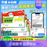 [一刷查漏补缺]语文+数学:2本 小学升初中 [正版]2025小升初分类卷人教版重点中学招生五年真题星空分类卷语文数学英