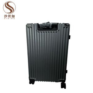 汐丝如XISIRU 20寸金属拉杆箱中等硬度四轮万向简约时尚密码锁铝合金拉链设计轻便耐用