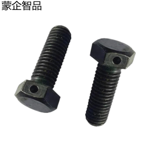 蒙企智品 六角头头部带孔螺栓 16×30MM 个