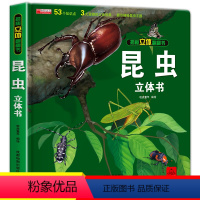3D立体翻翻书[揭秘昆虫] [正版] 昆虫儿童3d立体书绘本揭秘系太空医院列翻翻书 3-4-5-6-7岁宝宝撕不烂启蒙早
