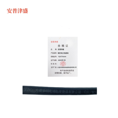 安普津盛 铜芯电力电缆 YJV2*6mm 0.6/1kv 米