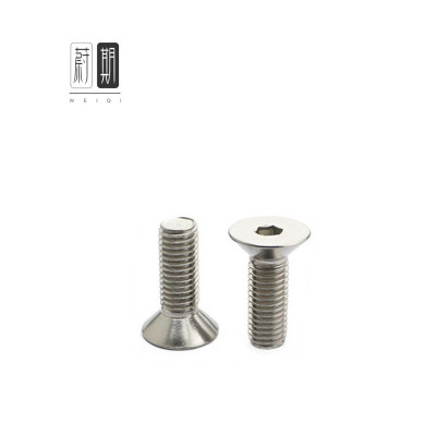 蔚期 不锈钢沉头内六角螺栓 M6*16 个