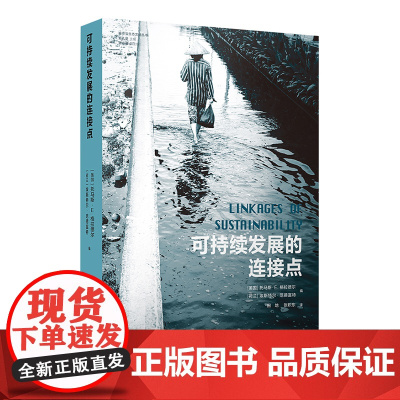 [城市与生态文明丛书]可持续发展的连接点(人类发展的关键,地球的可持续未来,这部前沿、先锋的作品里能给你启示)FXY