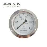嘉禾长久+轴向带边压力表检测定制型+Y150ZT+块