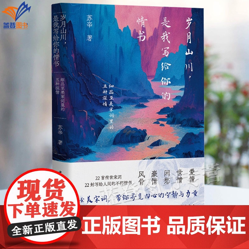 正版书籍岁月山川是我写给你的情书细品至美宋词里的五种深情苏辛著22首传世宋词写给人间的不朽情书爱情世情闲愁豪情风骨中青出