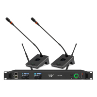 惠度(HuiDu)无线一拖二话筒鹅颈会议麦克风 BS-G20E(销售单位:套)