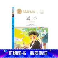 童年 [正版]快乐读书吧一二三四五六年级小学必读课外书全册任 稻草人安徒生童话小英雄雨来中国神话传说世界神话传说北教小雨